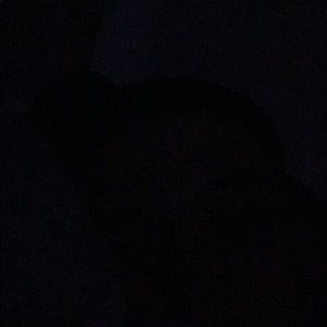 Meet your Posher, Shaun